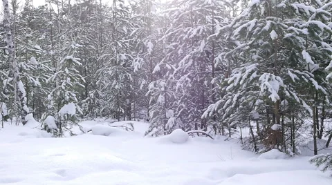 Lumberjack with his ax returns from work of the winter forest Stock Footage 60055231