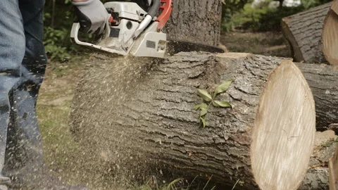 Lumberjack man cuts up storm damage downed trees with chain saw Stock Footage 139892382