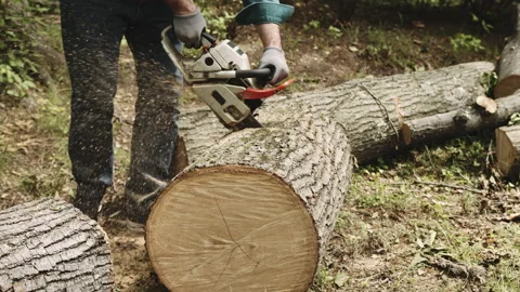 Lumberjack man cutting large log with chainsaw, hurricane in summer storm Stock Footage 139892335