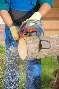 The lumberjack Stock Photos