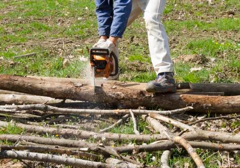 Lumberjack Stock Photos