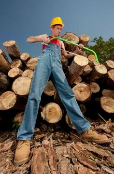 Lumberjack Foto stock