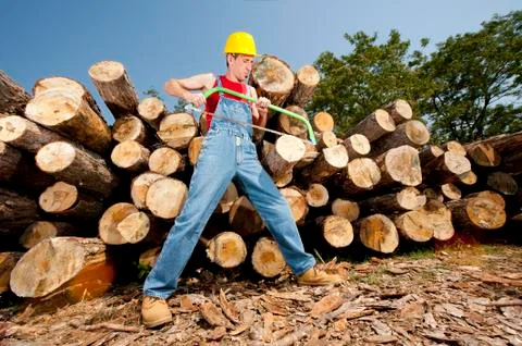 Lumberjack Foto stock
