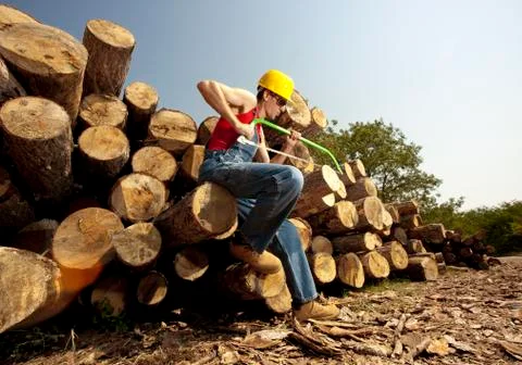 Lumberjack Stock Photos