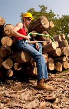 Lumberjack Stock Photos
