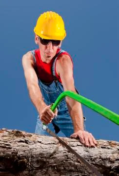 Lumberjack Stock Photos