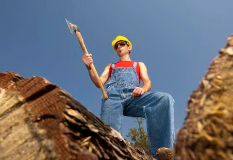 Lumberjack Stock Photos