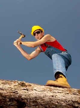 Lumberjack Stock Photos