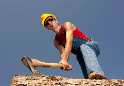 Lumberjack Stock Photos