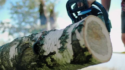 Lumberjack saws off part of a birch from a trunk at a sawmill in the forest 스톡 동영상 148230297