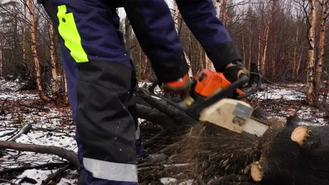 A lumberjack saws trees in a winter snowy forest. Chainsaw in motion close-up 20 Stock Footage 220097340