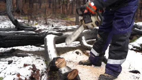 A lumberjack saws trees in a winter snowy forest. Chainsaw in motion close-up 3 Stock Footage 220099377
