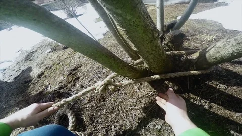 Lumberjack secures insurance to points of support POV Stock Footage 97408314
