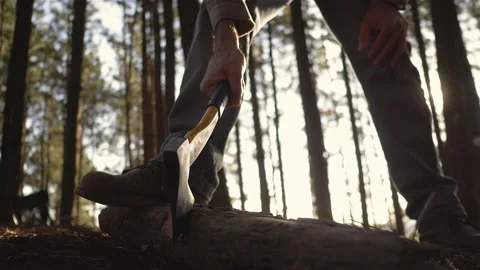 Lumberjack setting up camping and chopping firewood Stock Footage 162515149