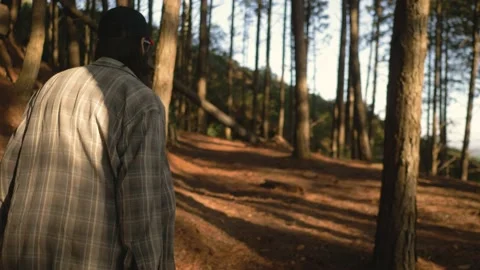 Lumberjack setting up camping and chopping firewood Stock Footage 162515283