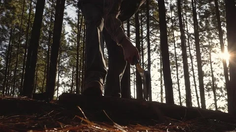 Lumberjack setting up camping and chopping firewood Stock Footage 162515446