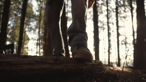 Lumberjack setting up camping and chopping firewood Stock Footage 162515517
