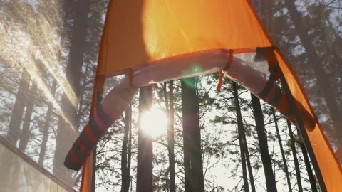Lumberjack setting up camping and chopping firewood Stock Footage 162515602