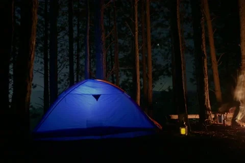 Lumberjack setting up camping and chopping firewood Stock Footage 162515693