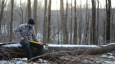 Lumberjack Sits on a Fallen Tree Video stock 58132561