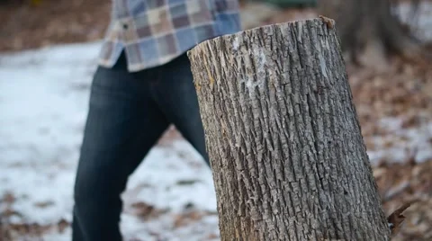 Lumberjack Splitting Log Video stock 58132571