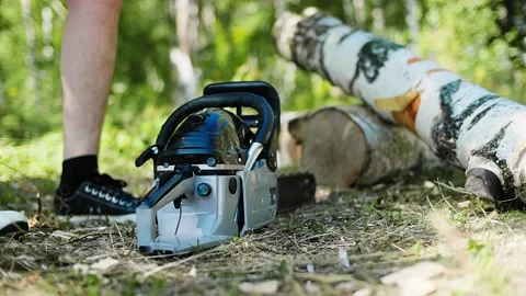 A lumberjack is starting to work. Takes a chainsaw and goes to saw a firewood Video stock 148230094