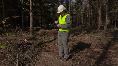 Lumberjack take pictures near pile of logs Stock Footage