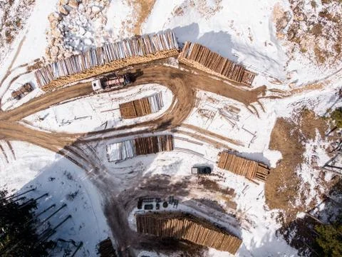 Lumberjack timber in forest. Loading wood on trailer tractor. Top view aerial Stock Photos