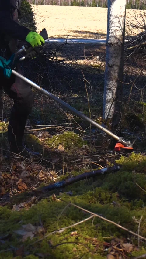 Lumberjack Trimming Tree Branches With a Brush Cutter in a Sunny Forest Stock Footage 335224917