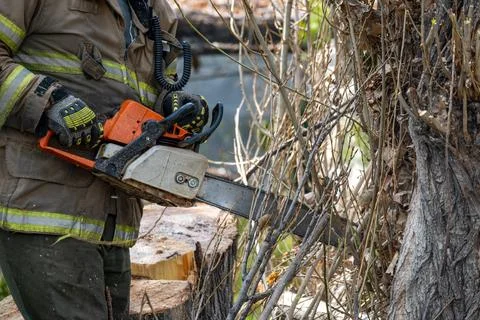 Lumberjack trimming the trees Stock Photos