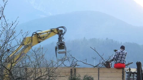 Lumberjack on truck 動画素材 99770605