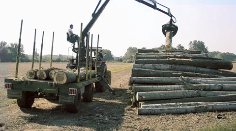 Lumberjack unloading logs from truck 스톡 동영상 33213071
