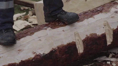 Lumberjack Use Axe Stock Footage 295147765