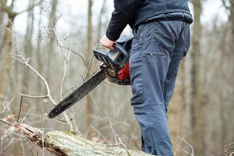 Lumberjack using a Gas-Powered Chain Saw cutting trees Stock Photos