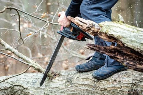 Lumberjack using a Gas-Powered Chain Saw cutting trees Stock Photos