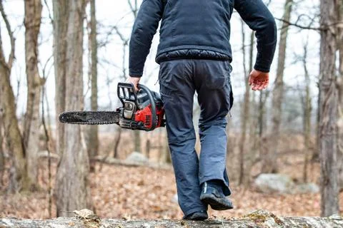 Lumberjack using a Gas-Powered Chain Saw cutting trees Stock Photos