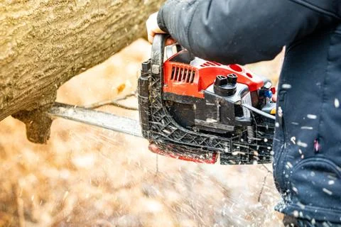 Lumberjack using a Gas-Powered Chain Saw cutting trees Stock Photos
