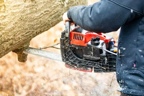 Lumberjack using a Gas-Powered Chain Saw cutting trees Stock Photos