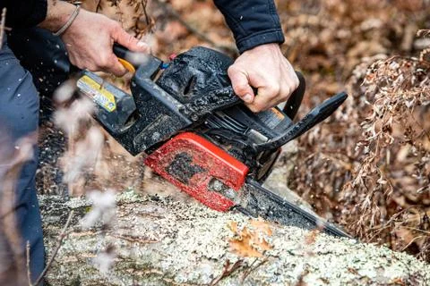 Lumberjack using a Gas-Powered Chain Saw cutting trees Stock Photos