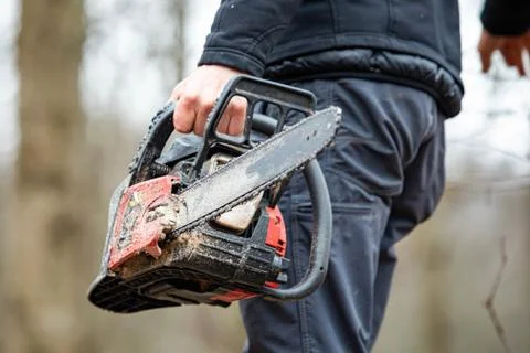 Lumberjack using a Gas-Powered Chain Saw cutting trees Stock Photos