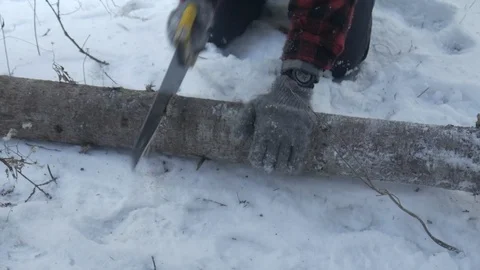 Lumberjack using hand saw to cut log in wilderness during winter snow Stock Footage 121219858