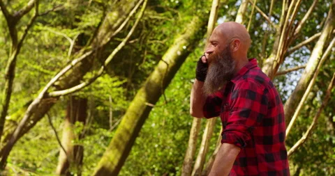 Lumberjack At Work Stock Footage 154436616