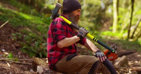 Lumberjack At Work Stock Footage 154437138