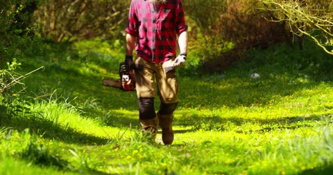 Lumberjack At Work Stock Footage 154437728