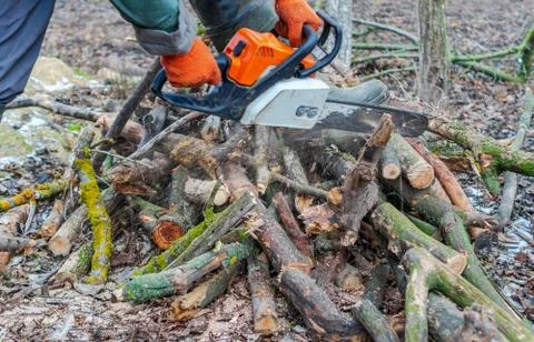 Lumberjack worker in full protective gear cutting firewood with a professiona Stock Photos