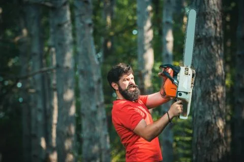 Lumberjack worker walking in the forest with chainsaw. Professional lumberjack Stock Photos