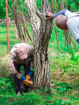 Lumberjack workers Stock Photos