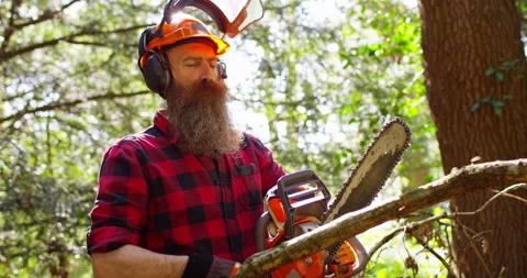 Lumberjack working with chainsaw during a nice sunny day Stock Footage 154433239