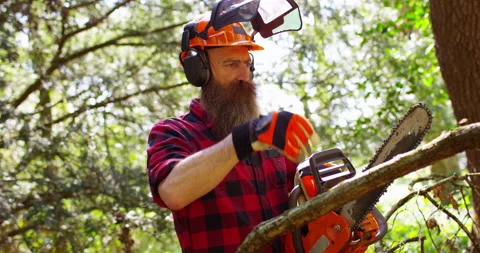 Lumberjack working with chainsaw during a nice sunny day Stock Footage 154433481