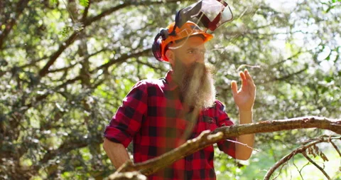 Lumberjack working with chainsaw during a nice sunny day Stock Footage 154433794